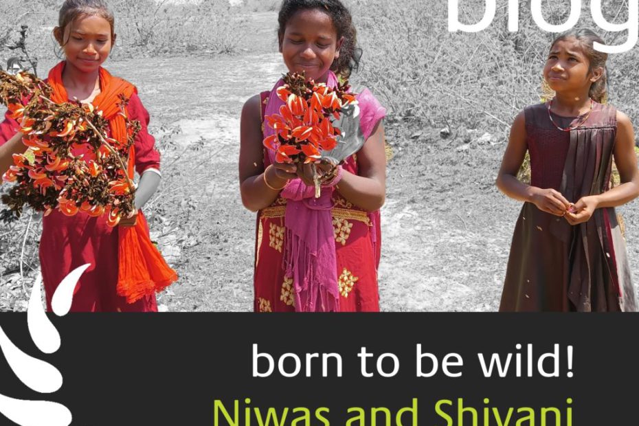 born to be wild - shivani und Niwas
