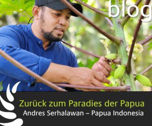 Zurück zum Paradies der Papua Andres Serhalawan – Papua Indonesia