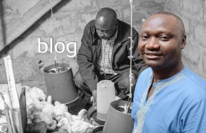 Blogheader Alick Mandandi